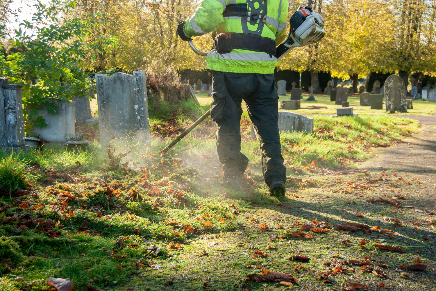 Guide to Different Types and Advantages of Weed Trimmers