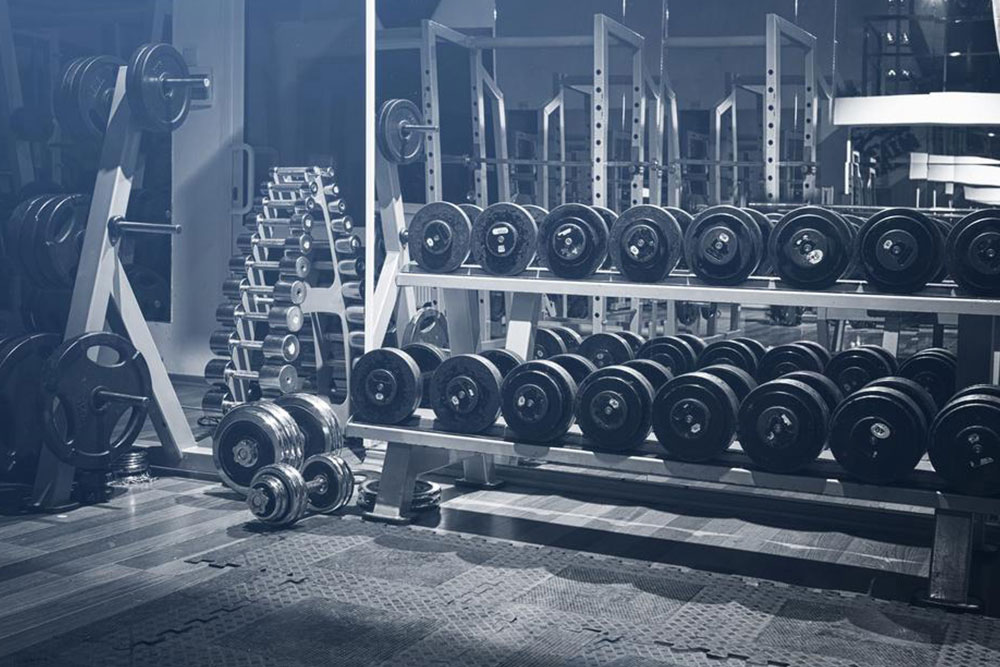 A Complete Guide to Gym Equipment Types and Their Functions