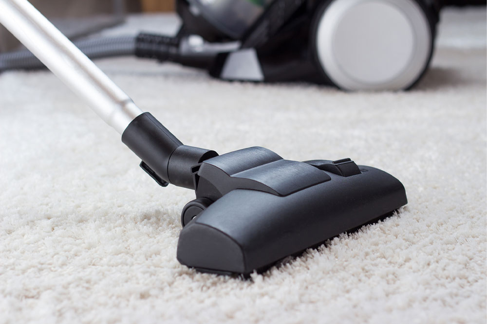 Essential Items You Should Not Vacuum