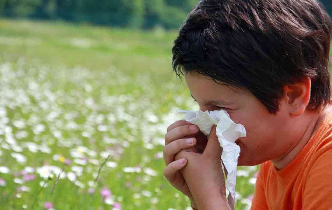 A Complete Guide to Pollen Levels and Allergy Prevention