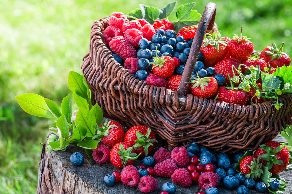 Comprehensive Dietary and Medical Strategies for Managing Overactive Bladder Symptoms