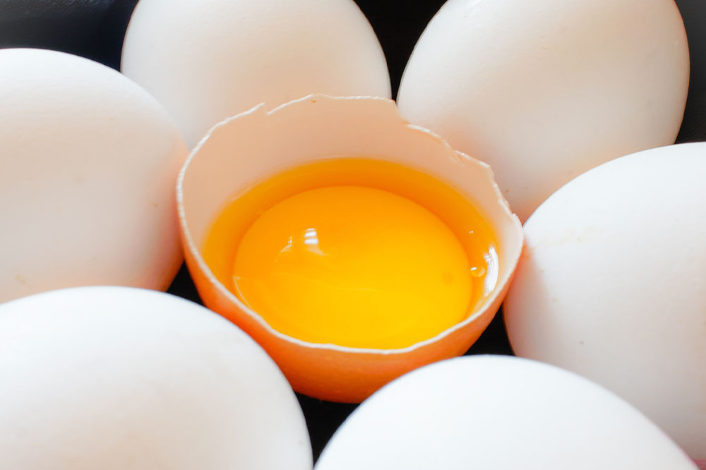 Essential Food Sources Rich in Vitamin D for Better Health