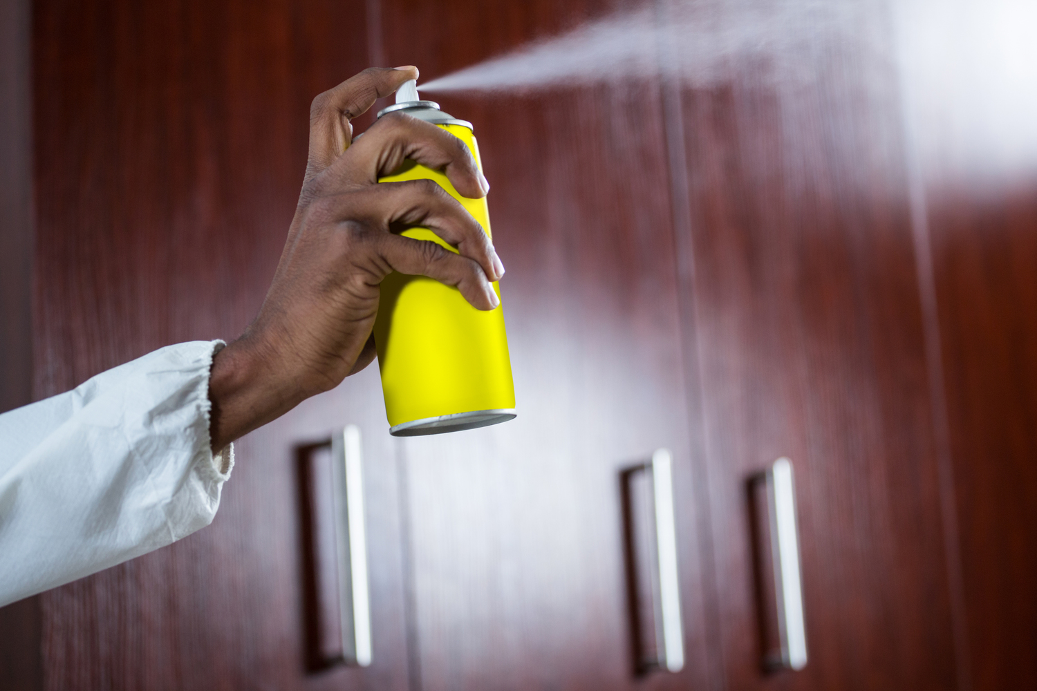 Ultimate Guide to Effective Cockroach Control Strategies for a Pest-Free Home