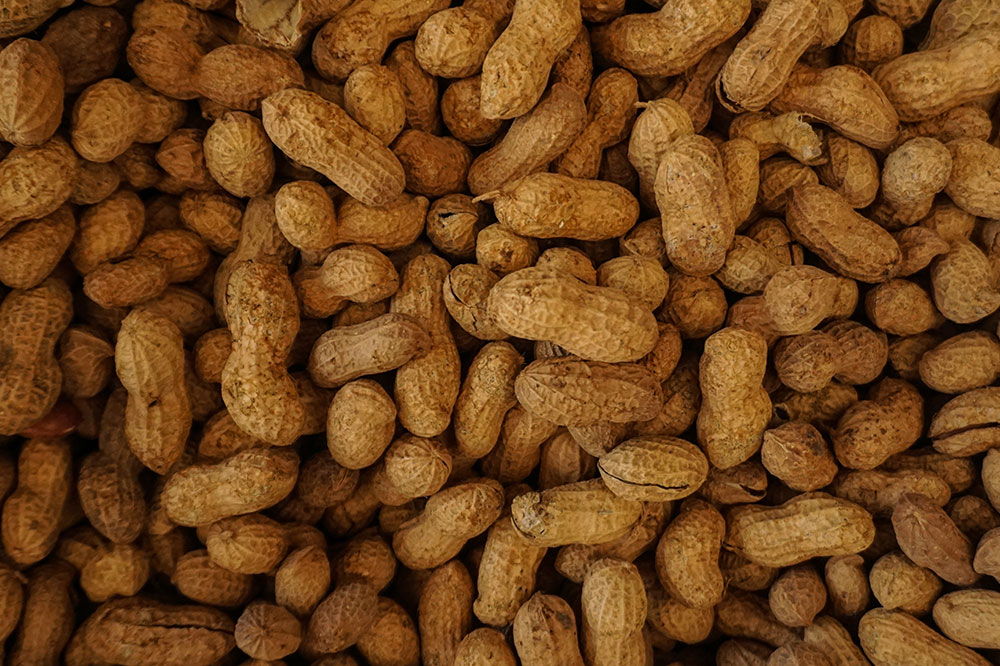 Top Six Foods to Skip for Effective Eczema Control