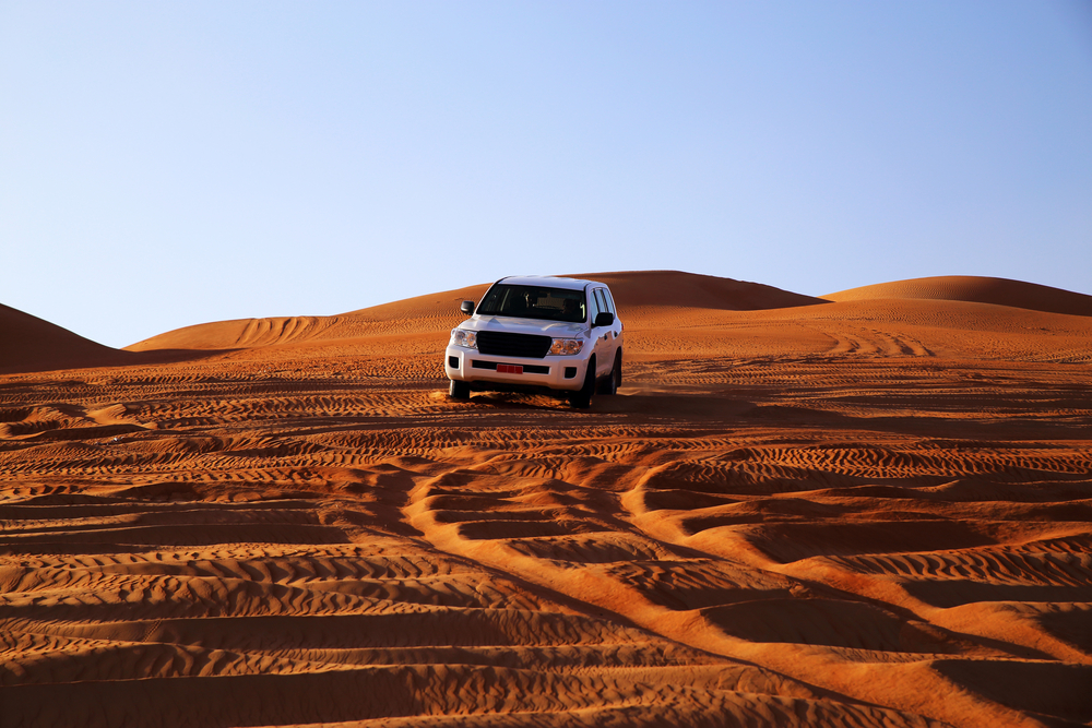 Comprehensive Overview of the Toyota RAV4