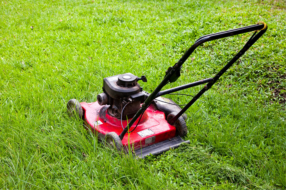 Best Black Friday Deals on Lawn Mowers You Can't Miss