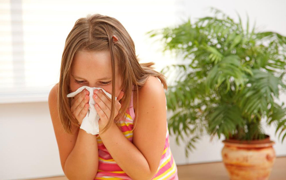 Proven Methods to Minimize Exposure to Common Allergy Triggers for Better Health
