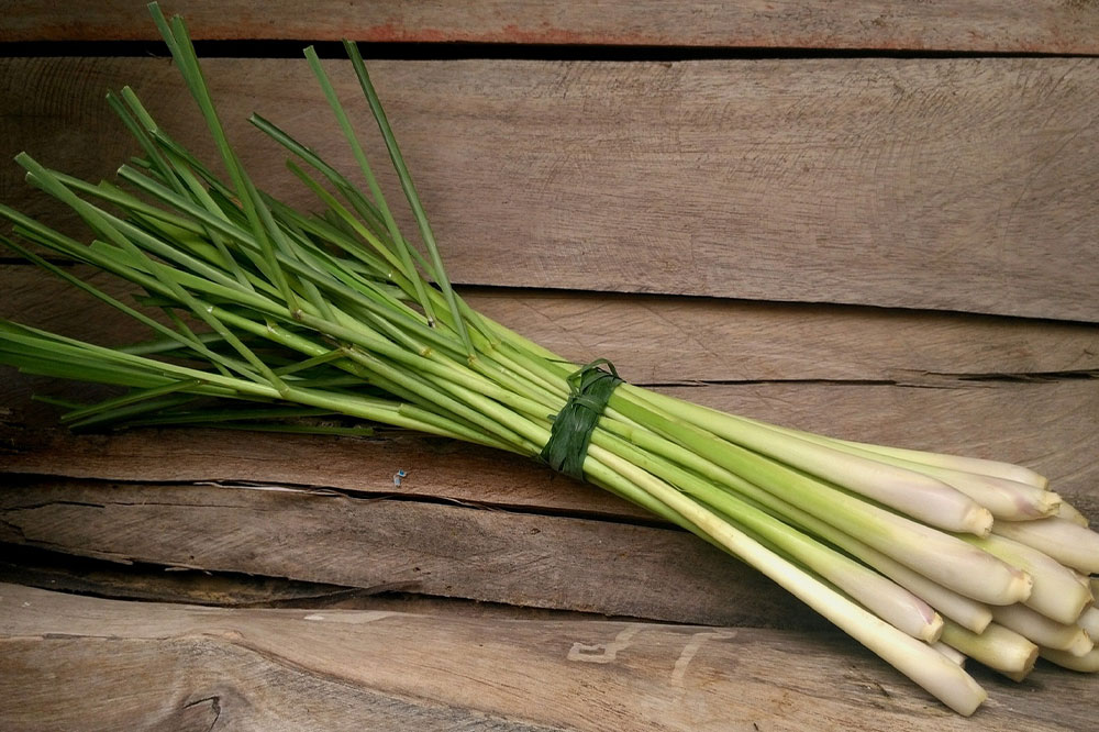 Top 17 Health Advantages of Lemongrass