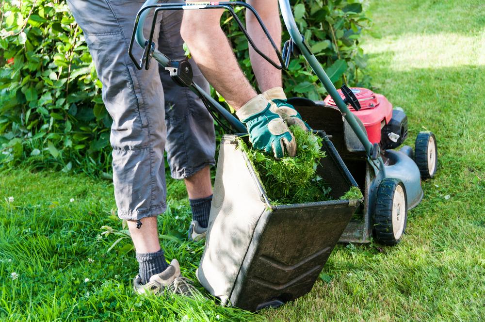 Essential Strategies to Maximize Your Garden Shredder Performance