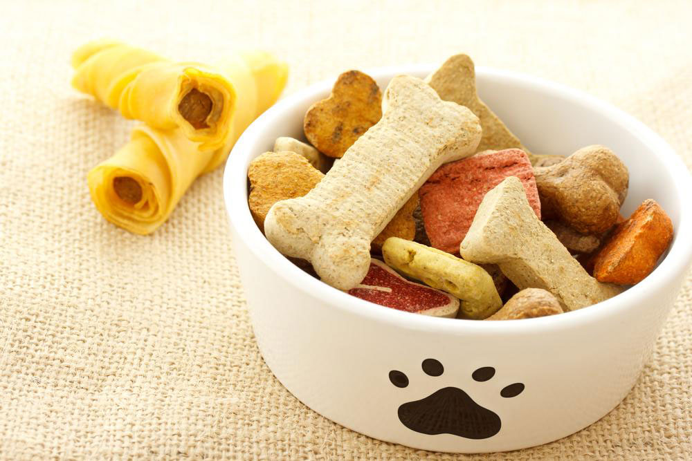 Essential Facts About Canine Food Sensitivities