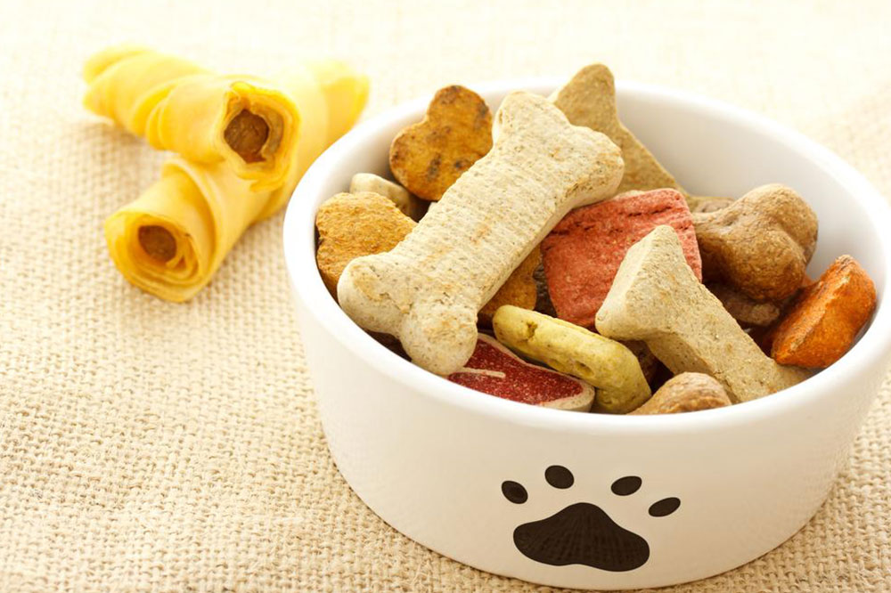 Key Factors When Choosing Optimal Dog Food