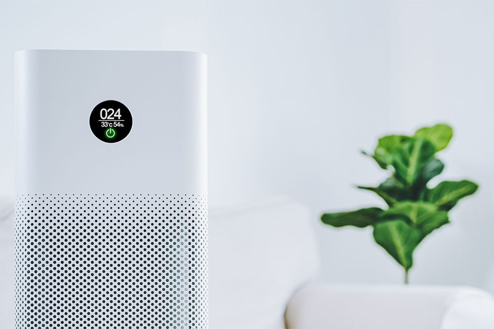 Comprehensive Guide: 11 Proven Techniques to Enhance Indoor Air Quality Naturally