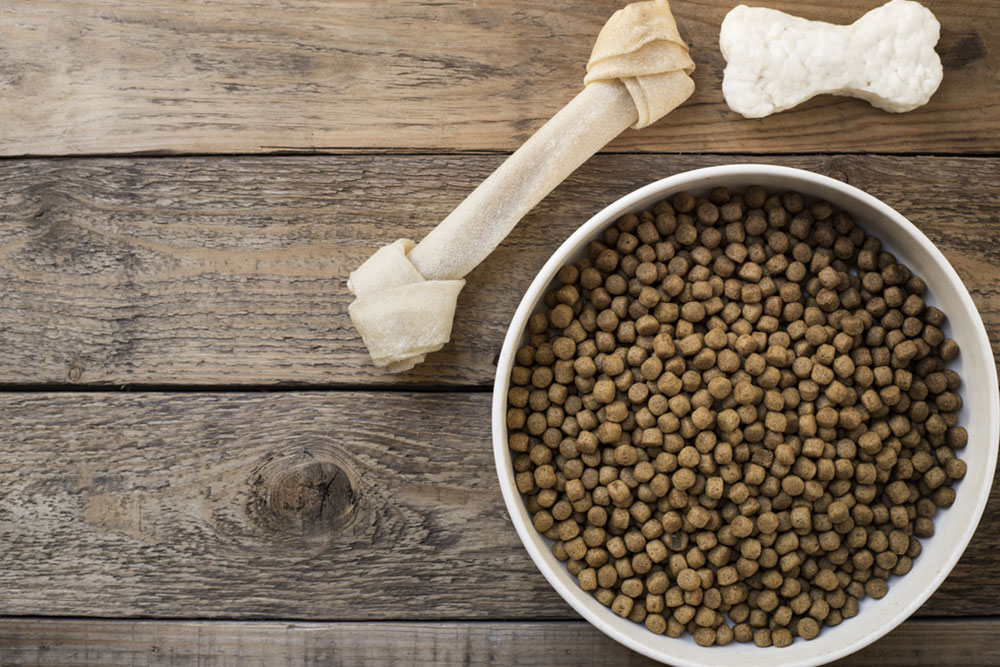 Top 7 Reliable Dog Food Brands for Your Pet