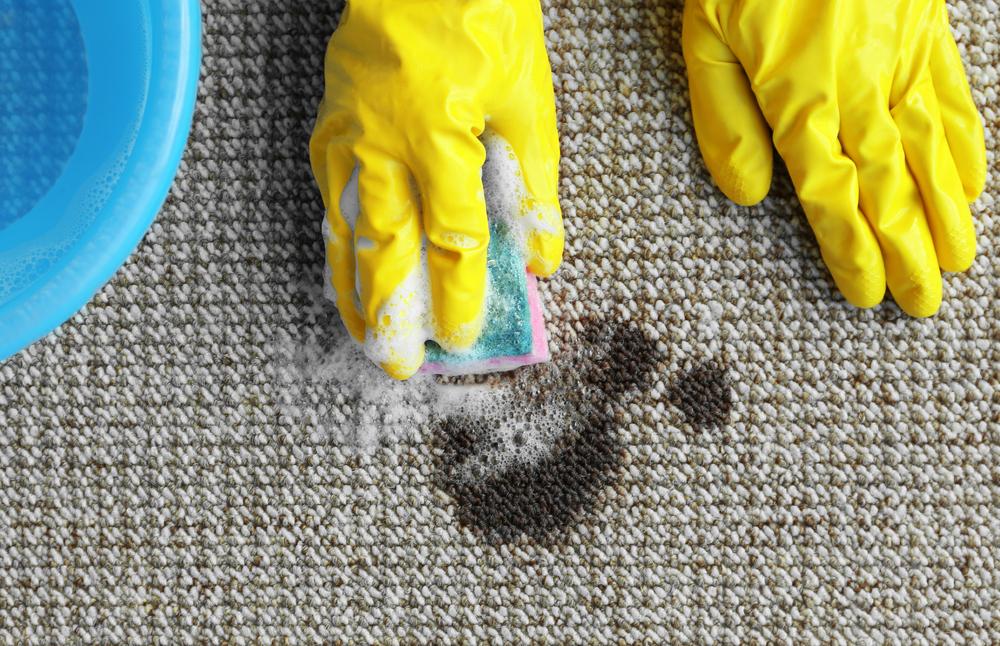 Top 6 Simple Methods to Effectively Remove Carpet Stains