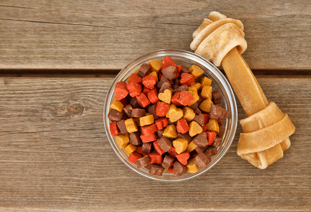 Choosing the Ideal Nutrition for Your Dog