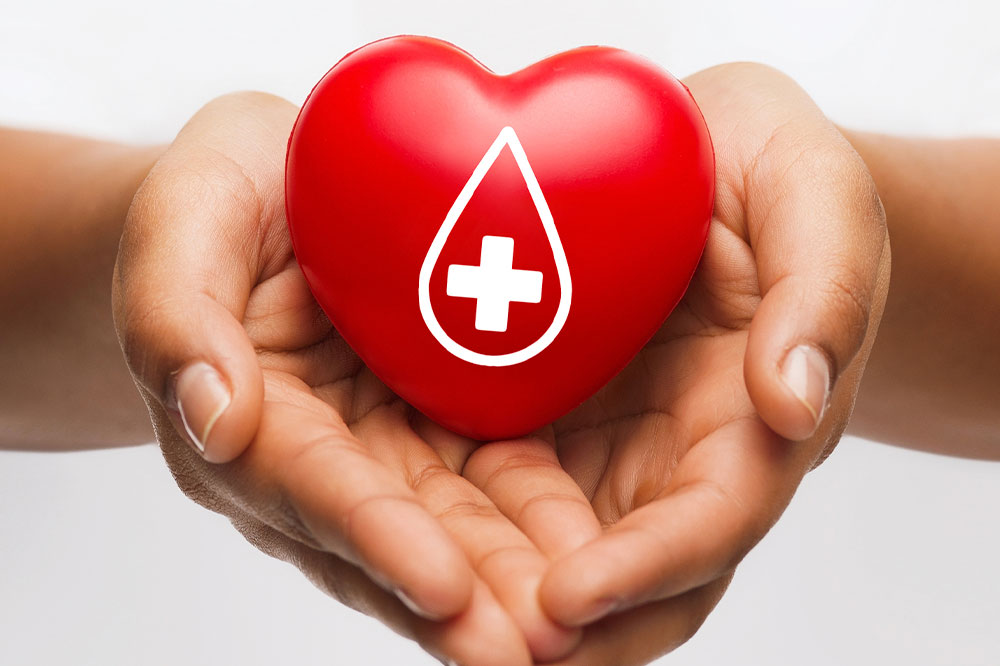 Comprehensive Guide to Plasma Donation: Benefits, Process, and Impact