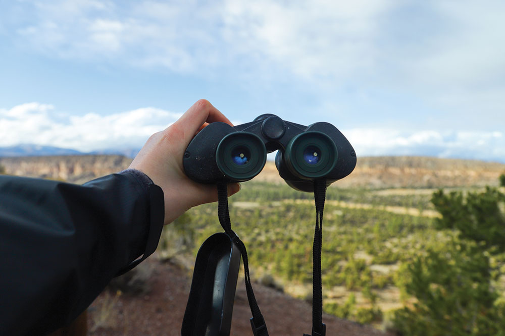 Top 3 Leading Brands of Binoculars in the Market Today