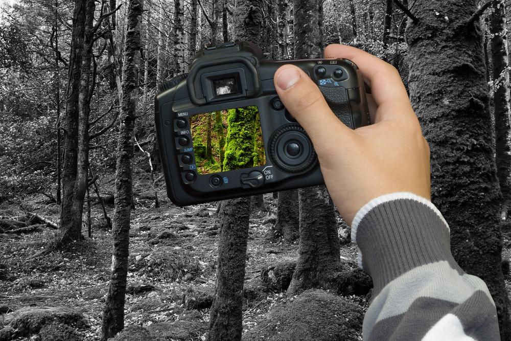 Breakthroughs in Photography and Camera Innovation