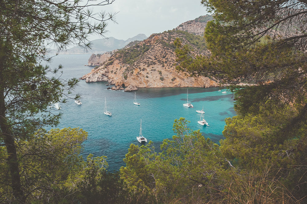 Ultimate Majorca Vacation Planning Tips: Flights and Accommodation Guide