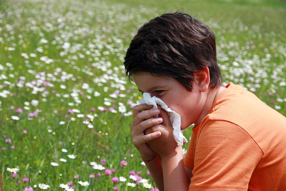 Understanding Pollen Allergies and How to Manage Them