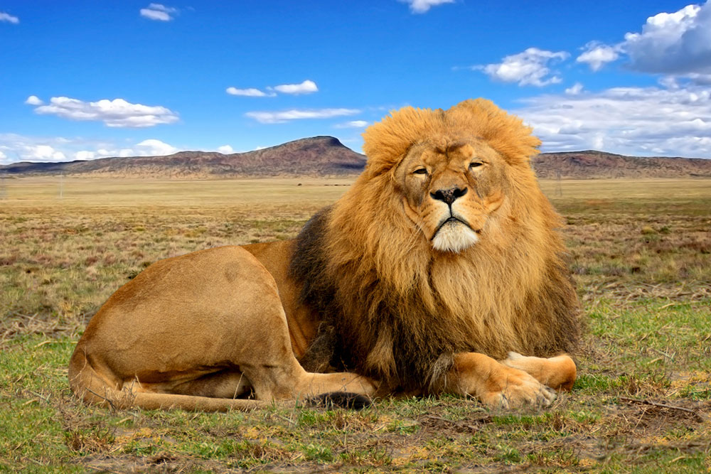 Top Destinations to Explore in Africa