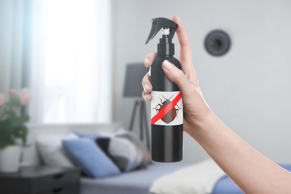 Effective Strategies for Eliminating Mattress Pests