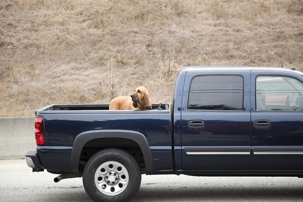 Why the Toyota Tundra Remains a Top Pick Among Full-Size Trucks