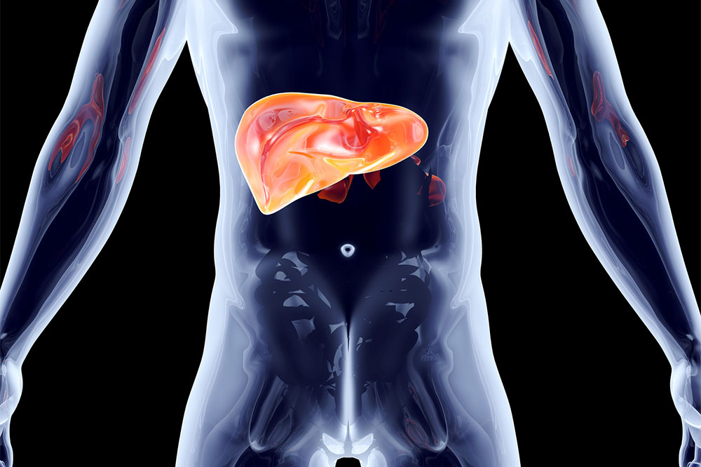 Unlocking the Mysteries of the Liver: 8 Fascinating Facts You Didn't Know