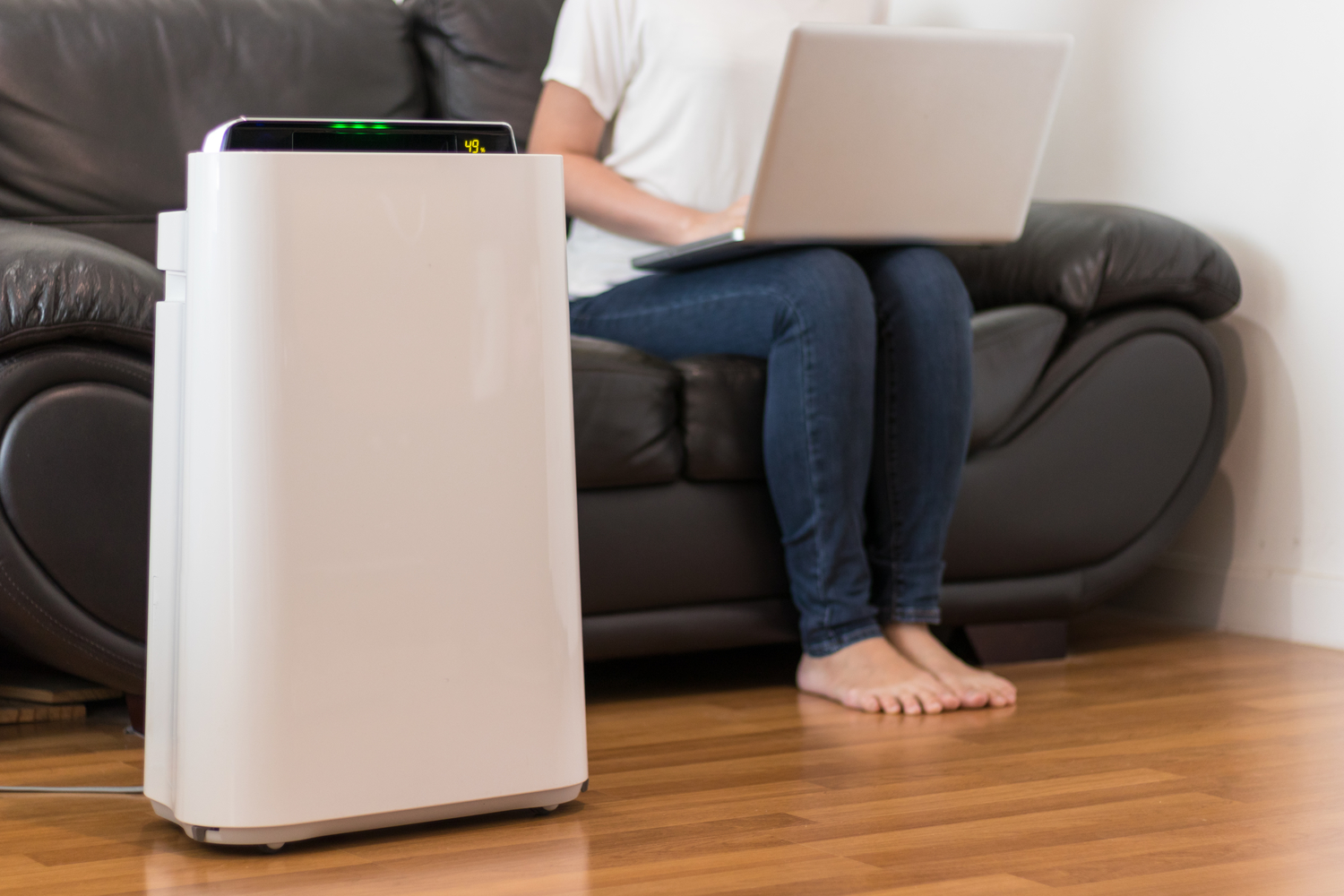 Essential Insights on the IQAir PreMax Air Purifier Range
