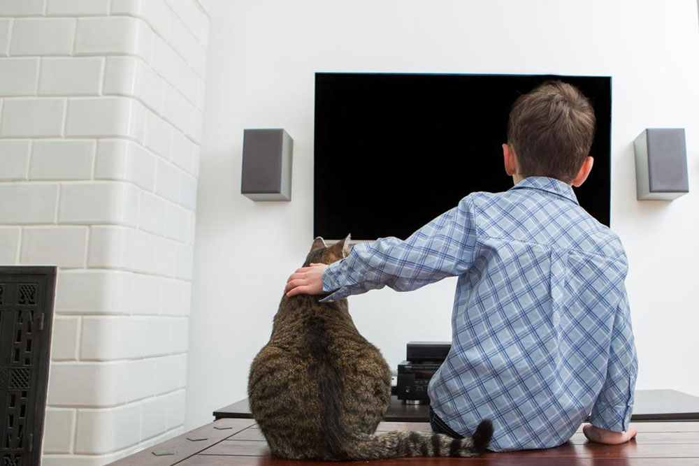Top Larger Screen TVs Over 40 Inches for Your Home
