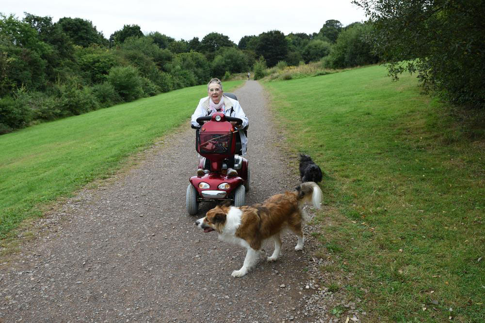 Essential Tips for Selecting the Perfect Power Scooter