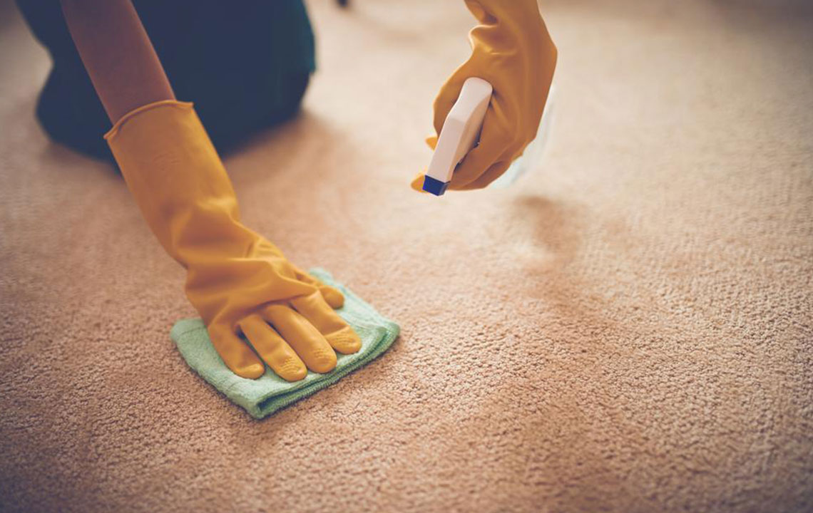 Essential Reasons to Hire Professional Carpet Cleaning Experts for a Healthier Home