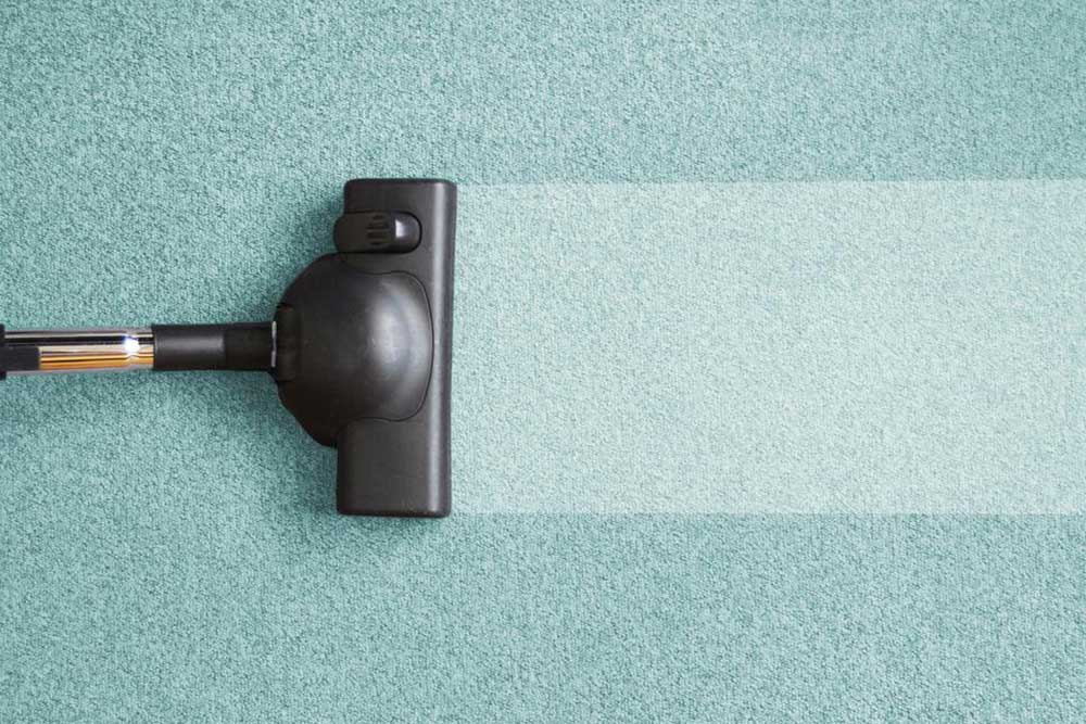 Top 6 Shark Vacuum Models for Efficient Cleaning