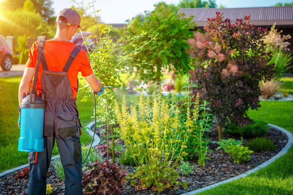 Understanding the Principles of Eco-Friendly Pest Control