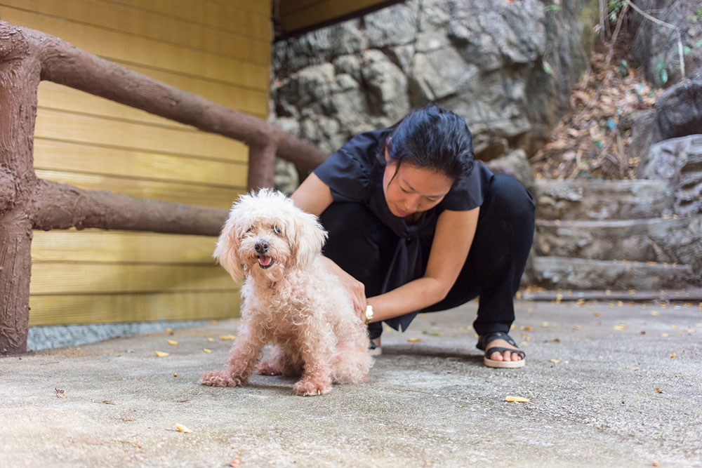 Understanding Dog Allergies: Causes and Natural Home Solutions